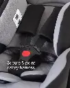 mountain-buggy-protect-car-seat-detail-safety-harness.webp